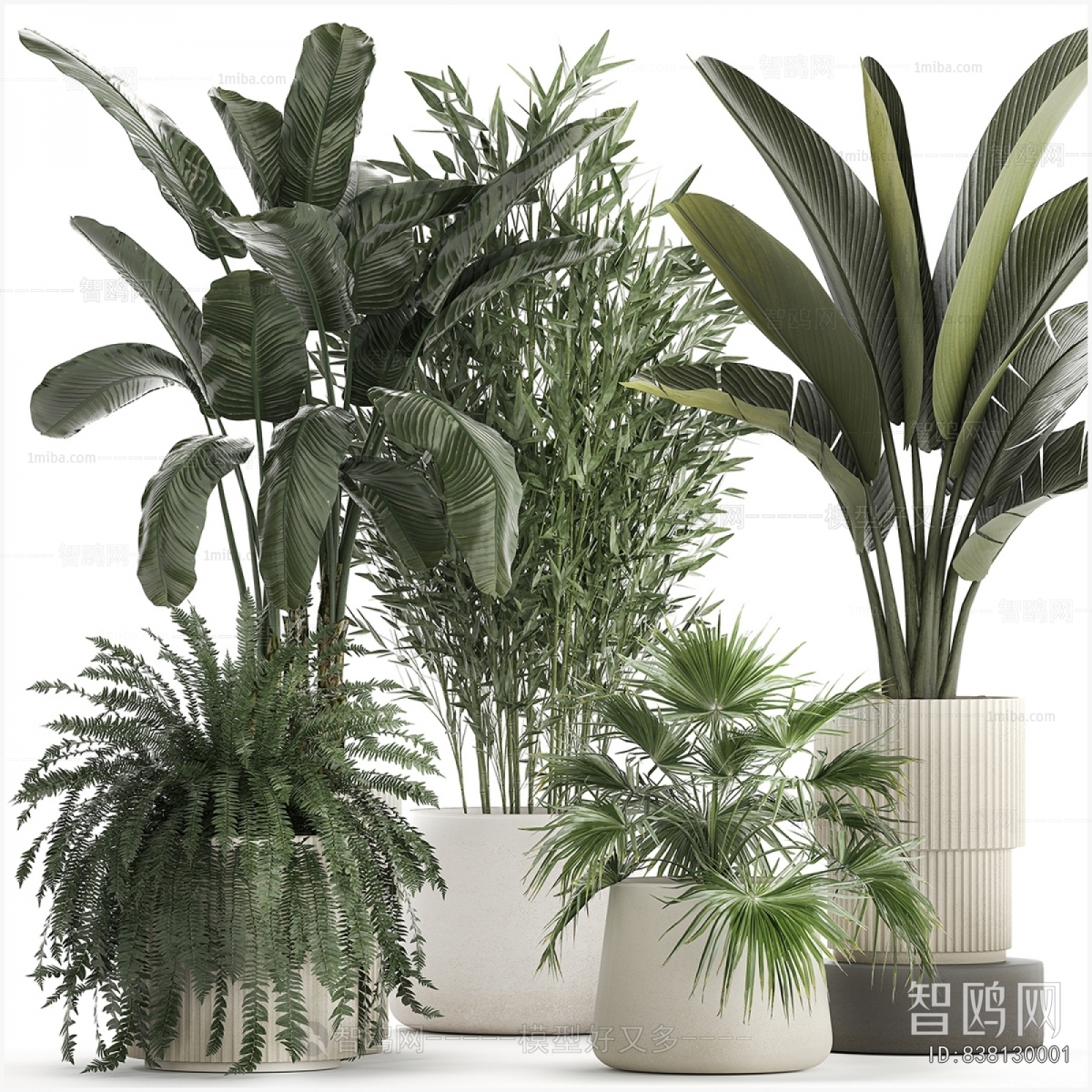 Modern Ground Green Plant Potted Plants