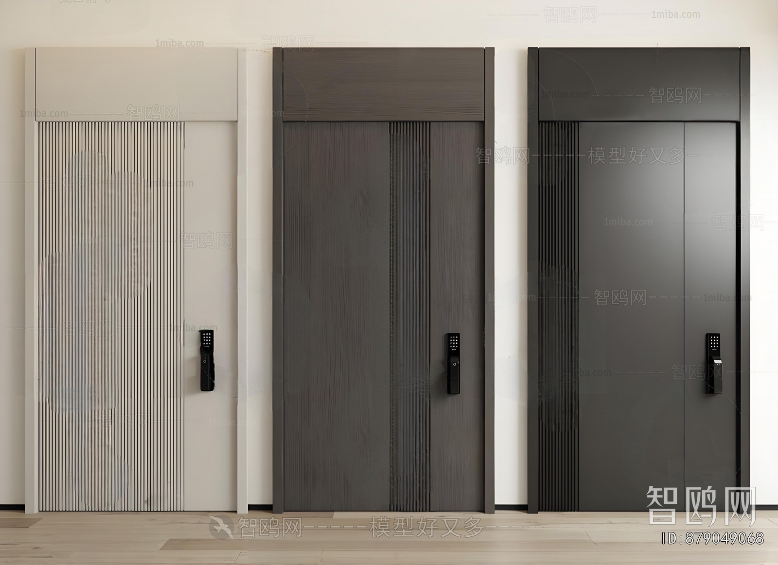 Modern Entrance Door