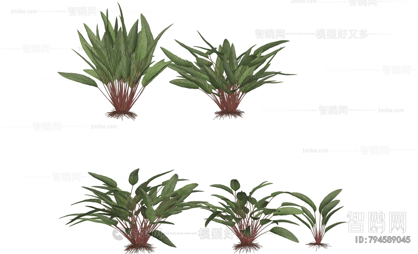 Modern Flowers And Grass