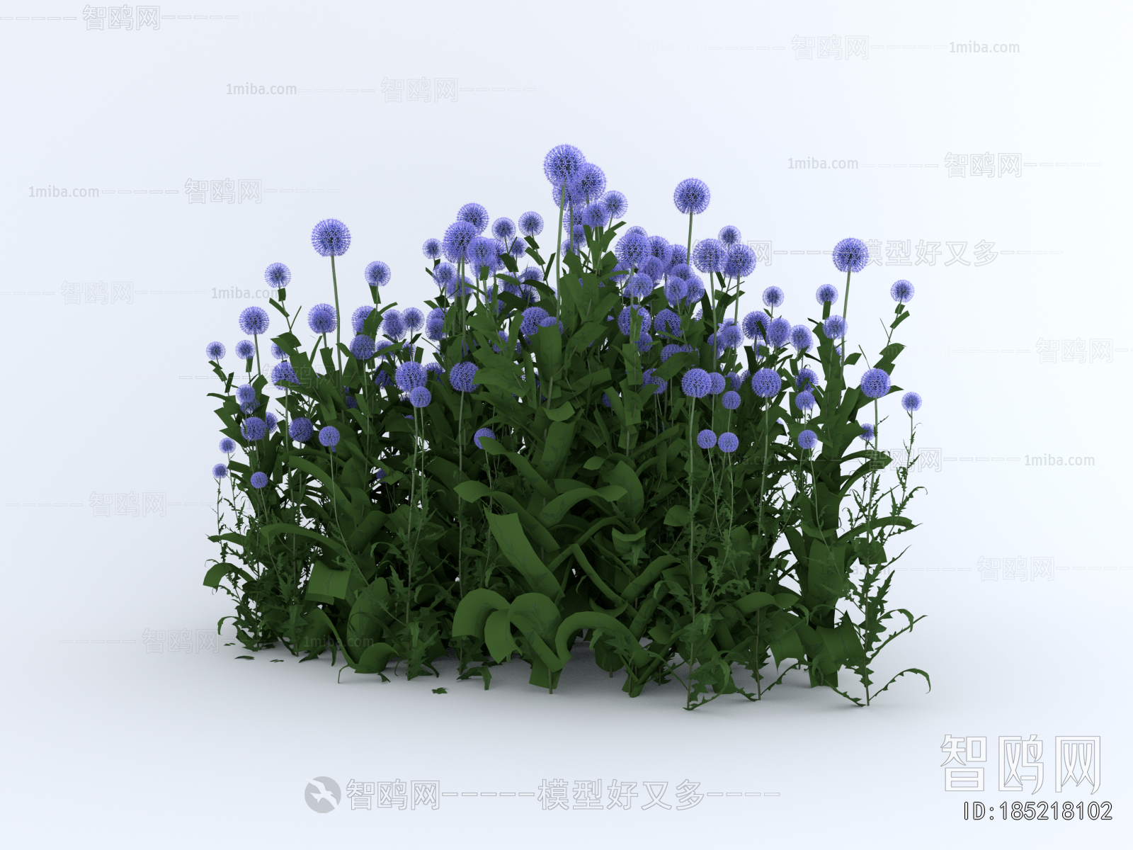 Modern Flowers And Grass