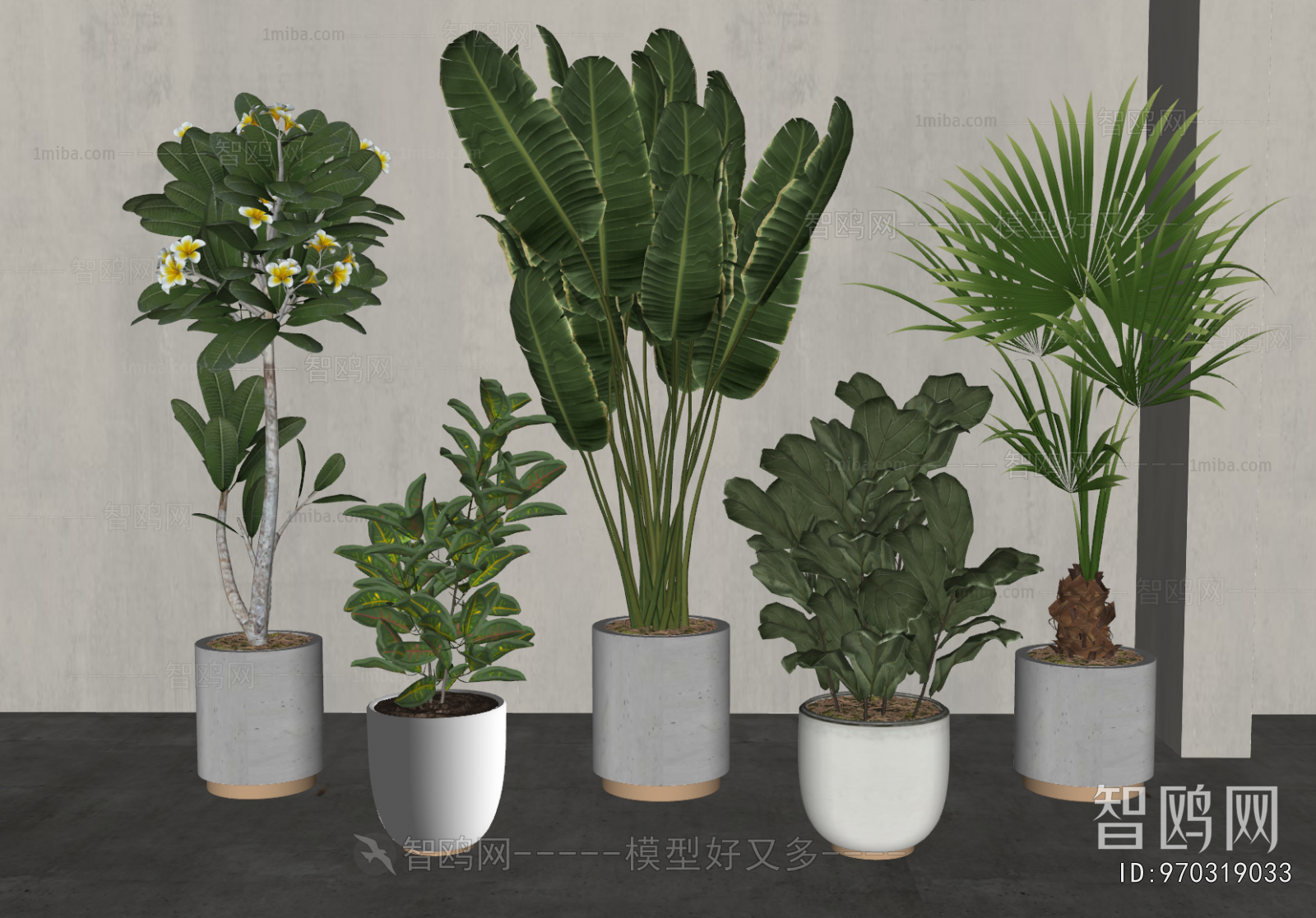 Modern Ground Green Plant Potted Plants