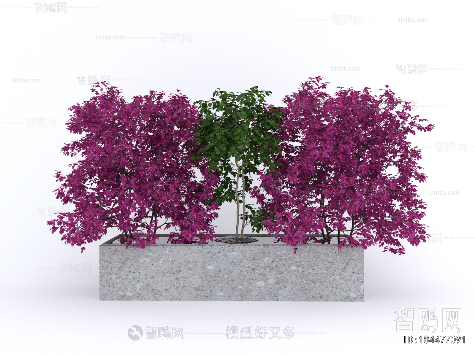 Modern Flower Bed, Flower Bowl, Flower Box