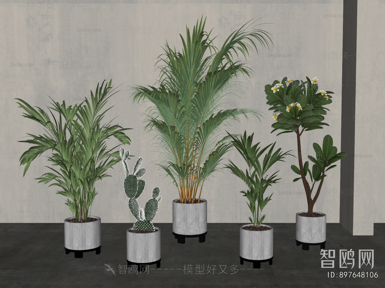 Modern Ground Green Plant Potted Plants