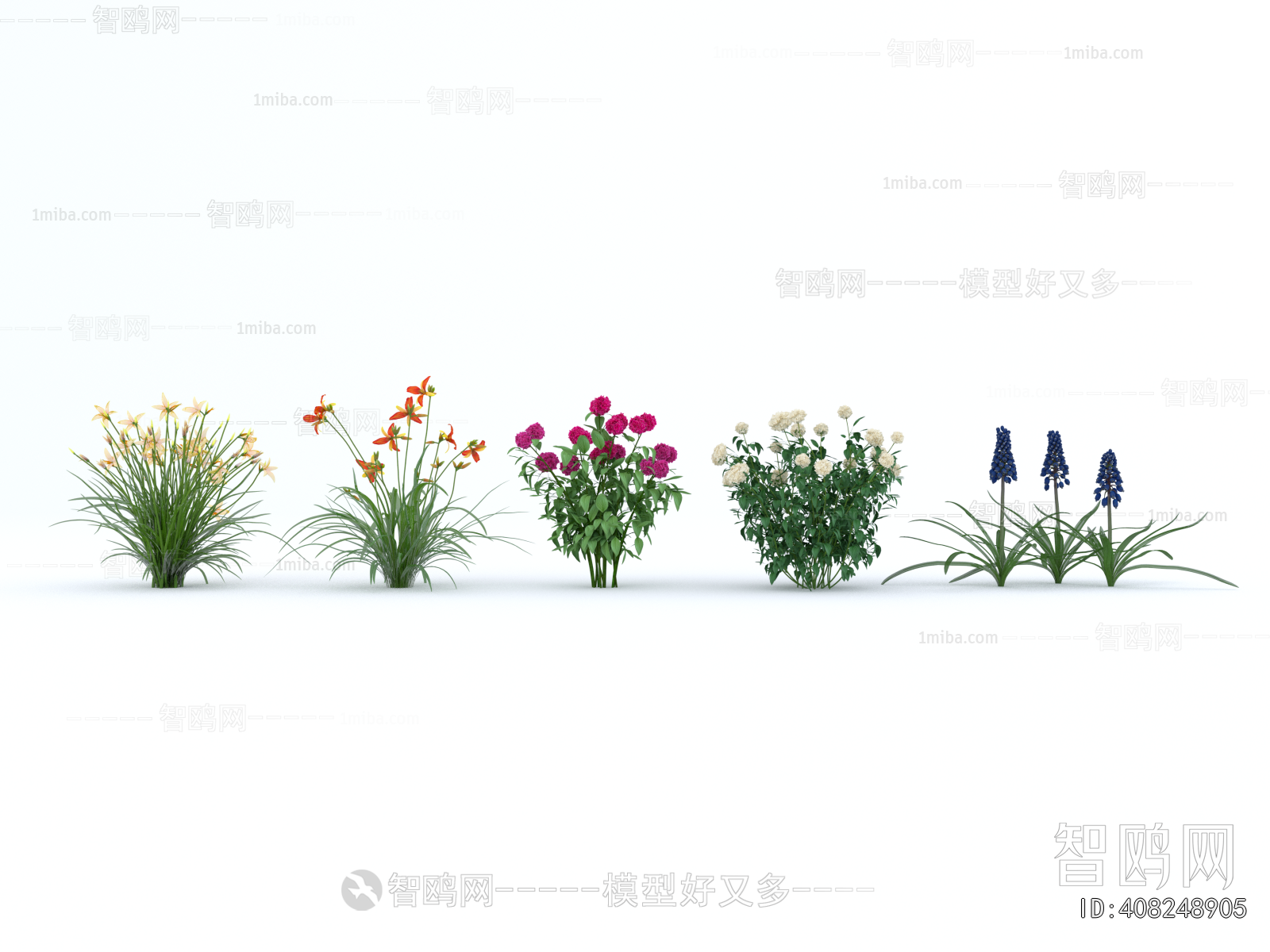 Modern Flowers And Grass