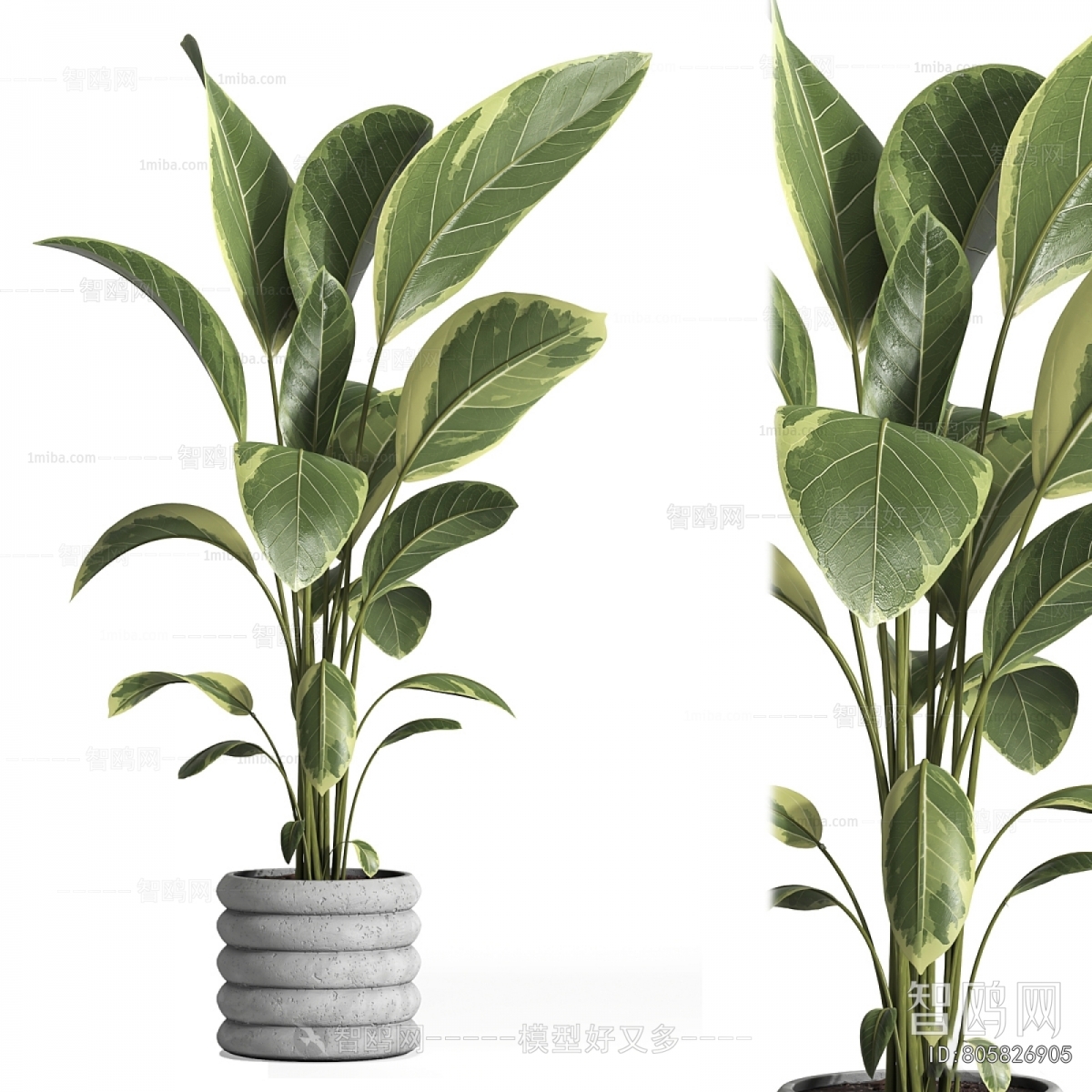 Modern Ground Green Plant Potted Plants