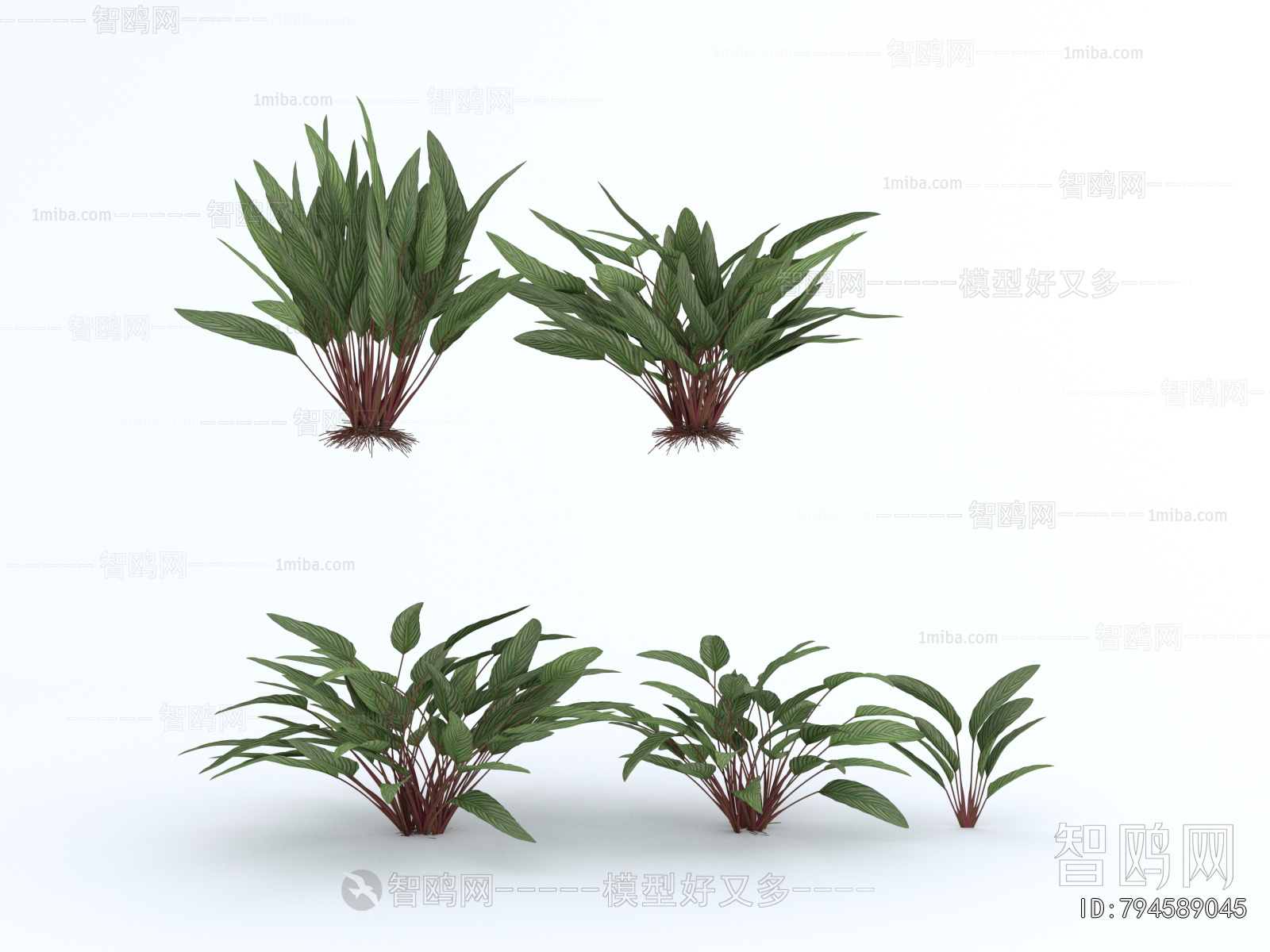 Modern Flowers And Grass