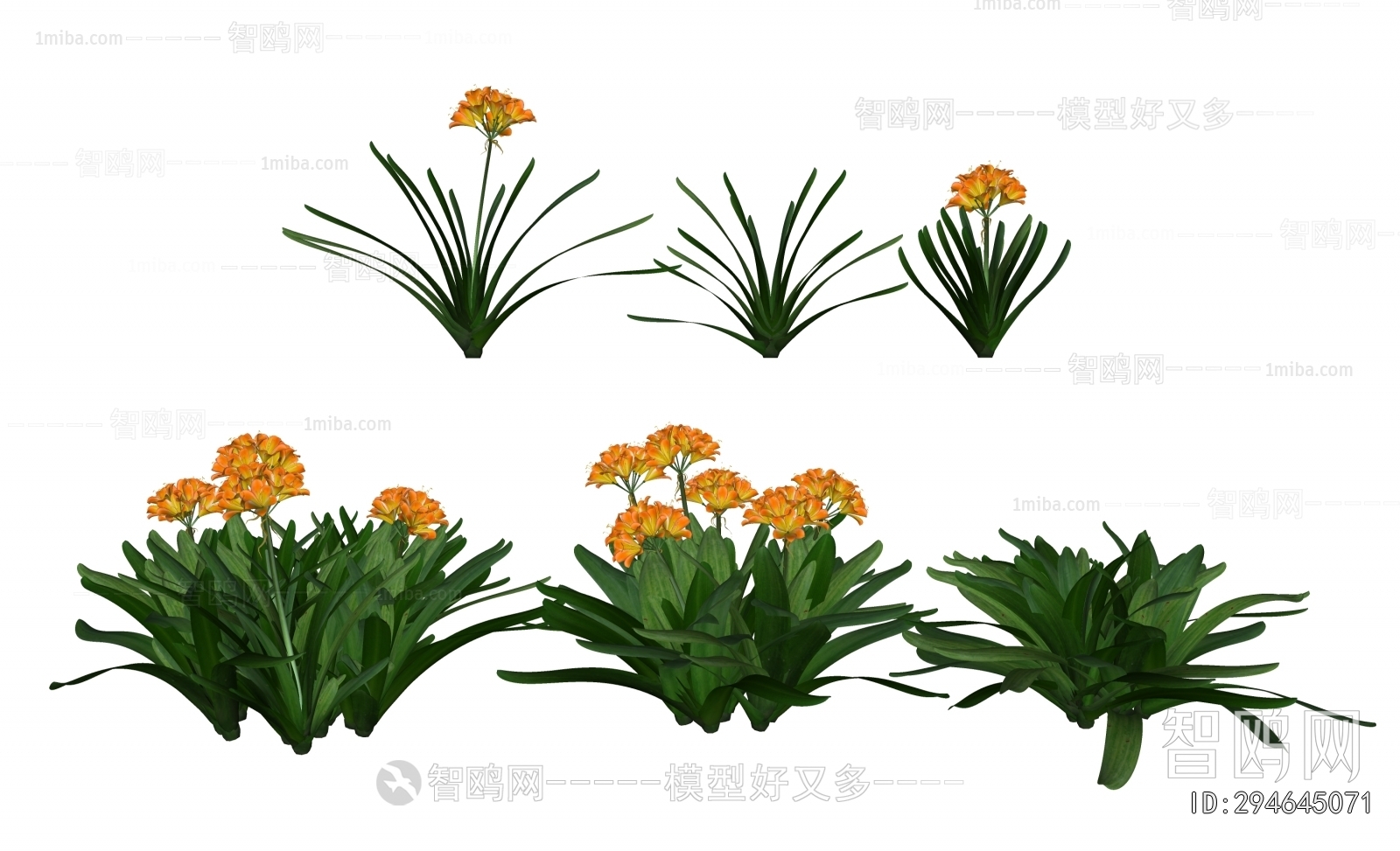 Modern Flowers And Grass