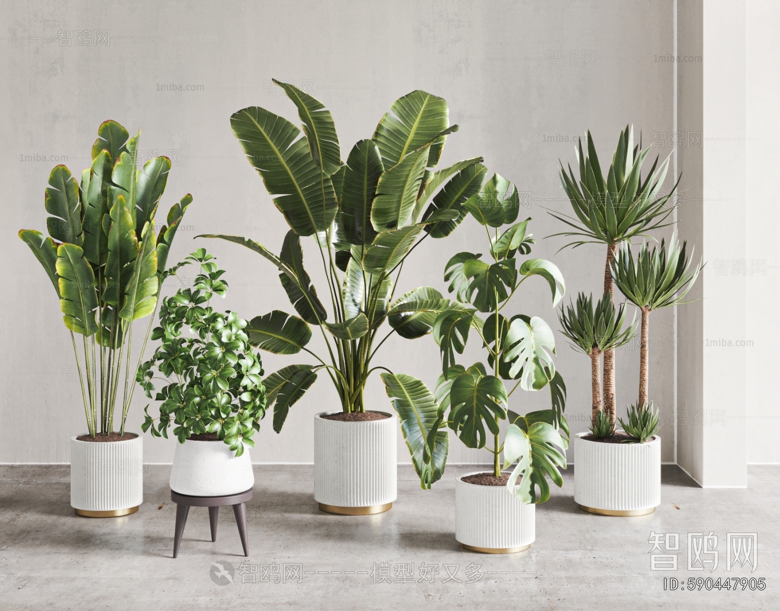 Modern Ground Green Plant Potted Plants