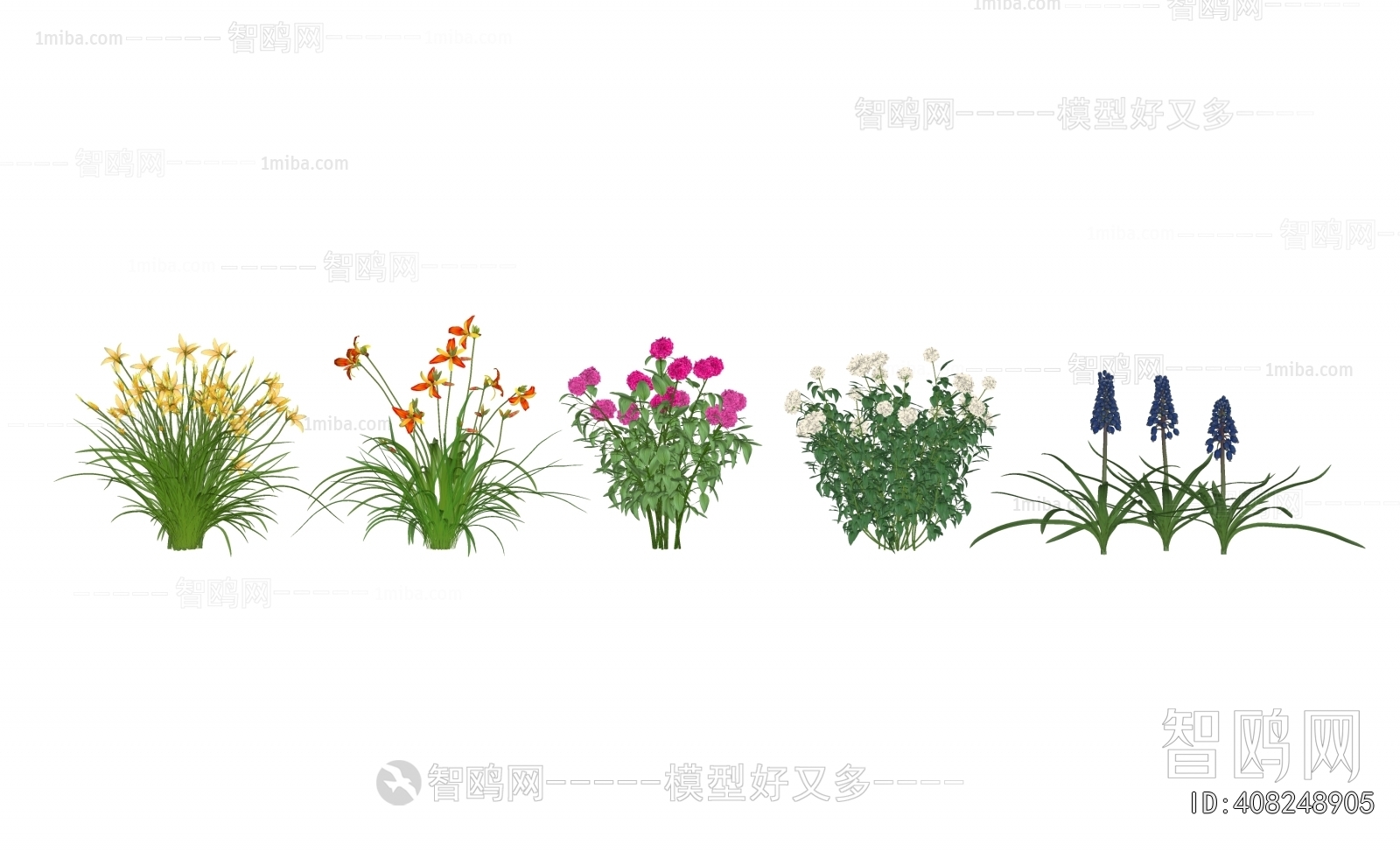 Modern Flowers And Grass