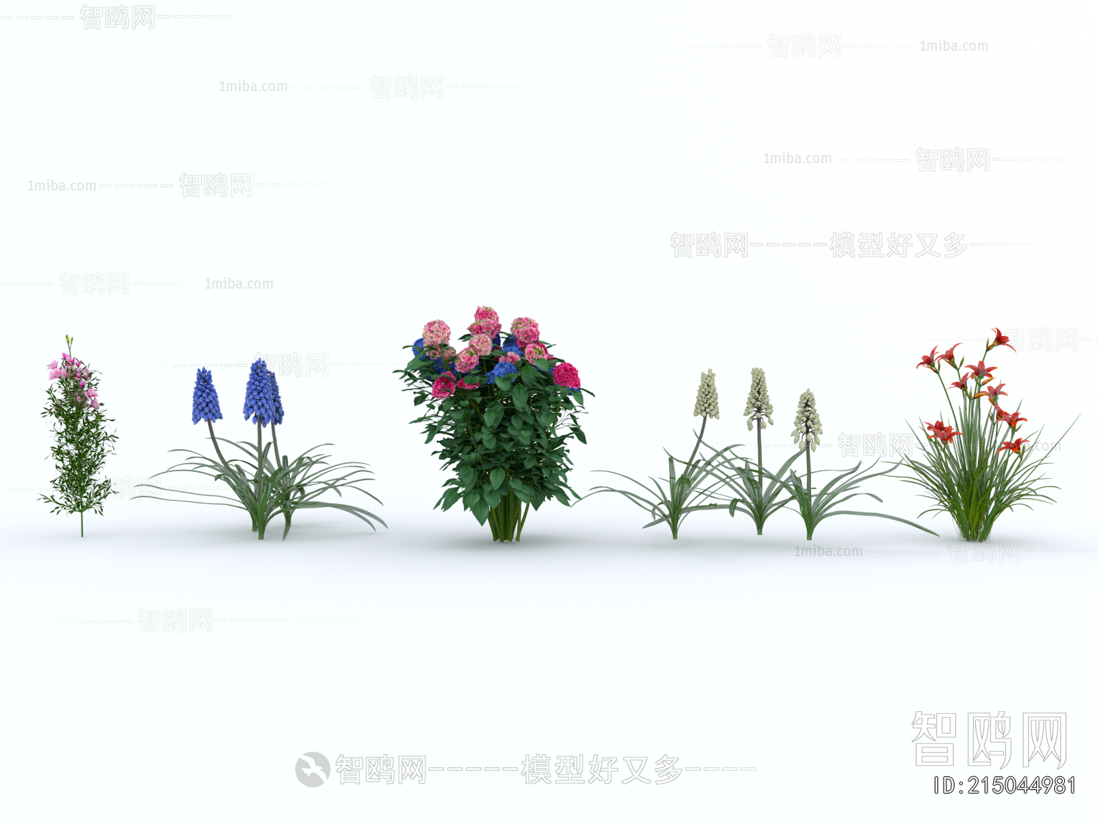 Modern Flowers And Grass