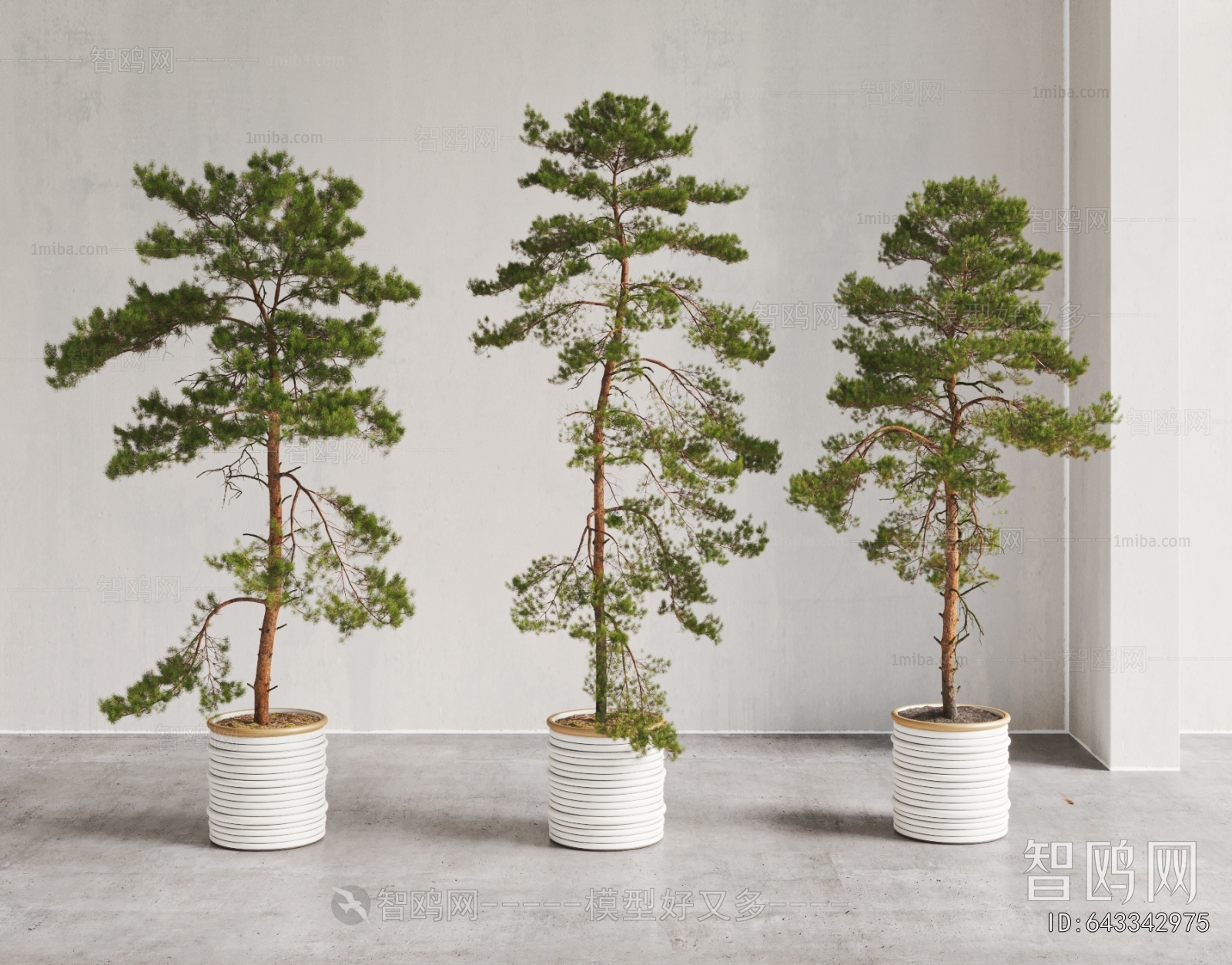 Modern Ground Green Plant Potted Plants