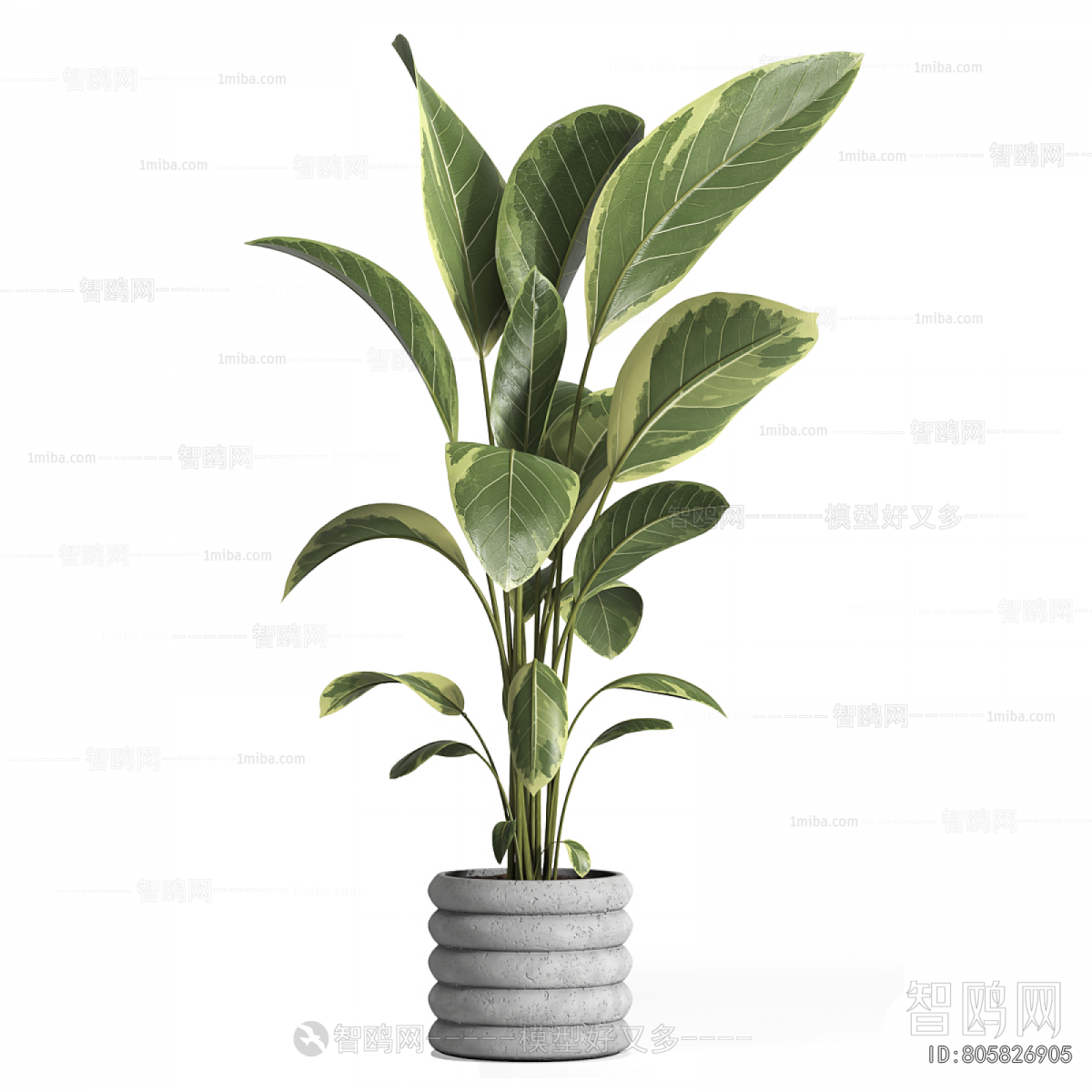 Modern Ground Green Plant Potted Plants