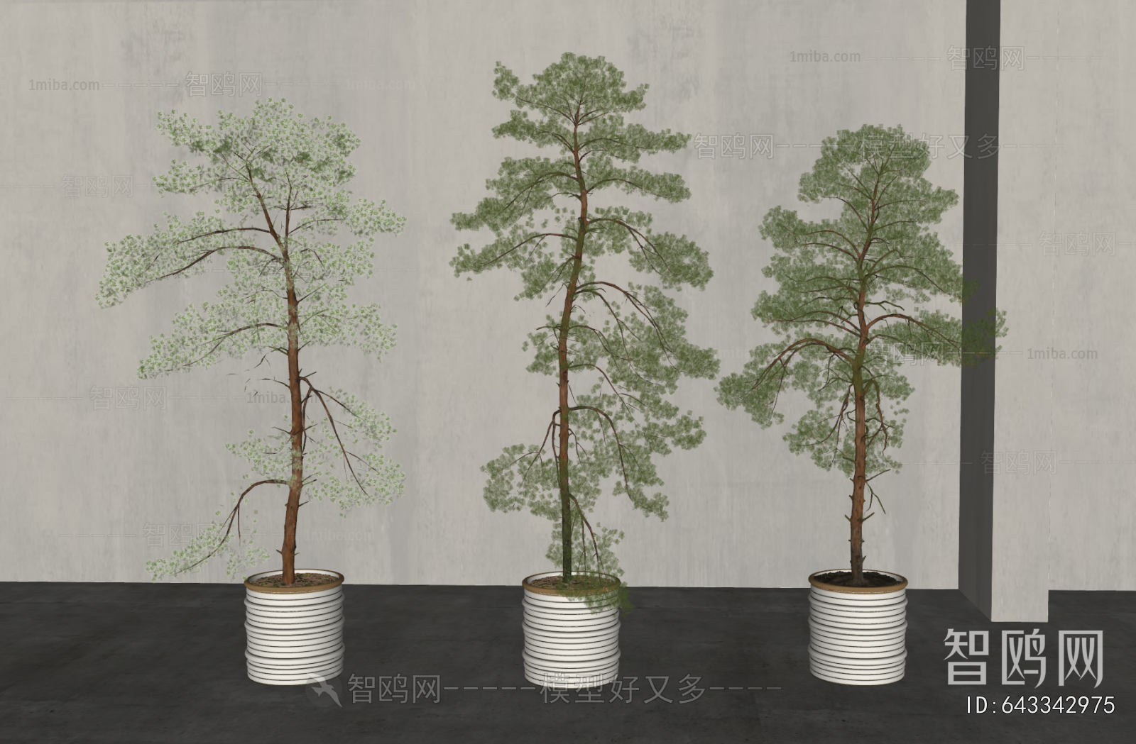 Modern Ground Green Plant Potted Plants