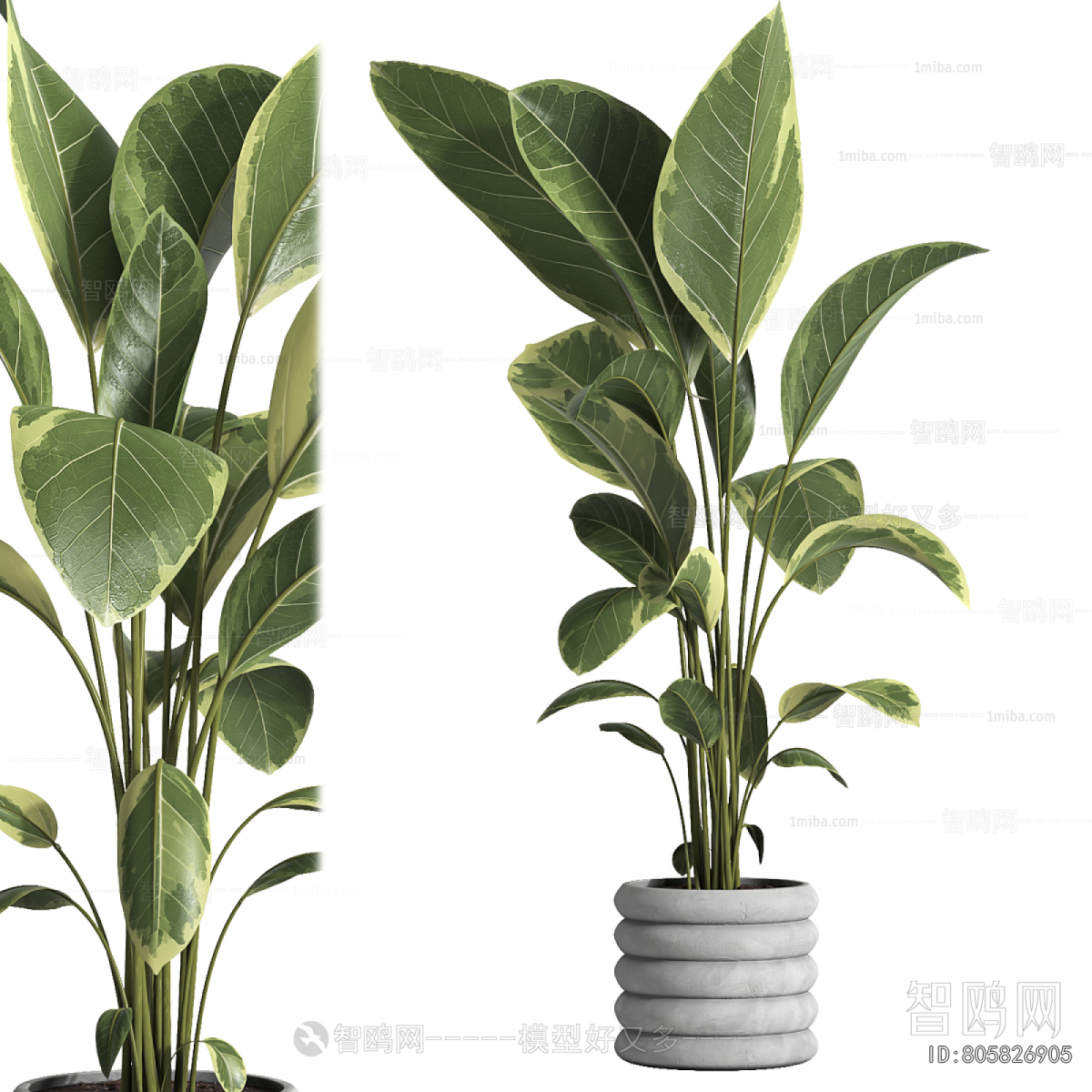 Modern Ground Green Plant Potted Plants