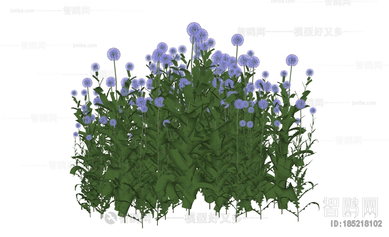 Modern Flowers And Grass