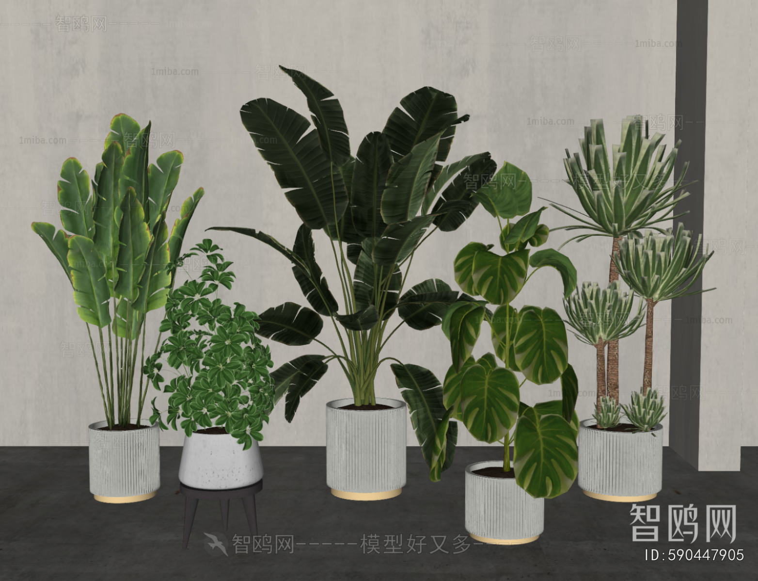 Modern Ground Green Plant Potted Plants
