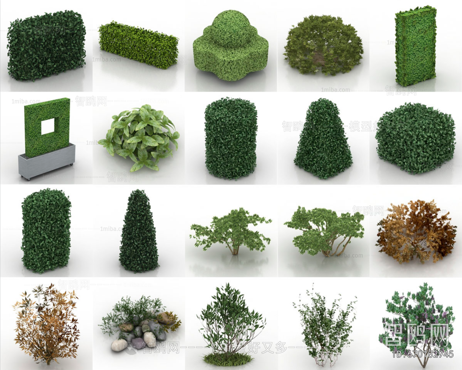 Modern Shrubbery