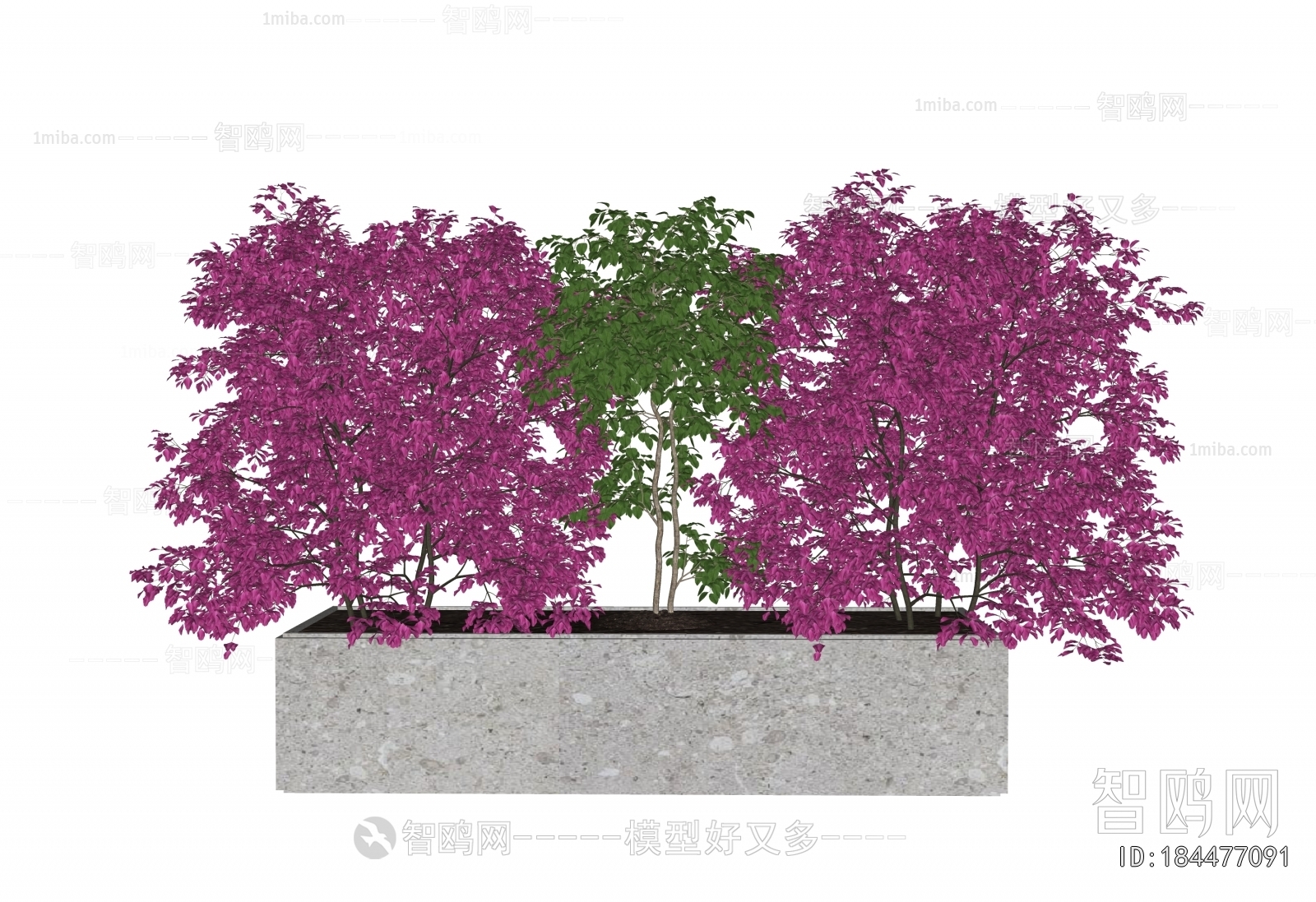 Modern Flower Bed, Flower Bowl, Flower Box