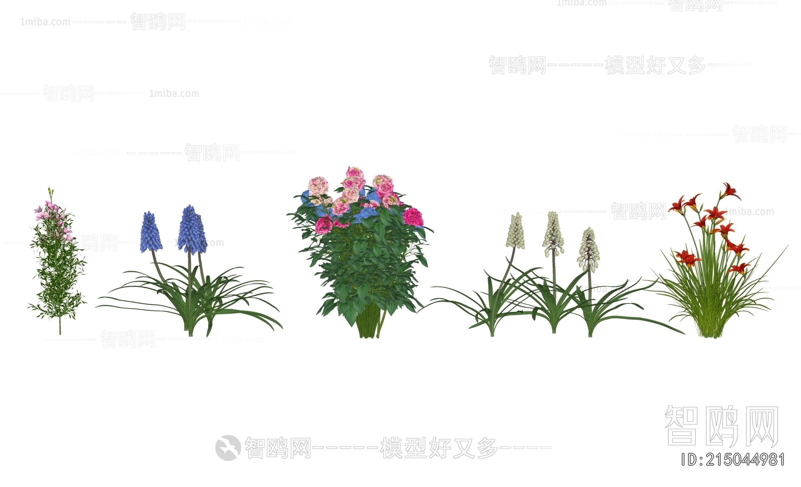 Modern Flowers And Grass