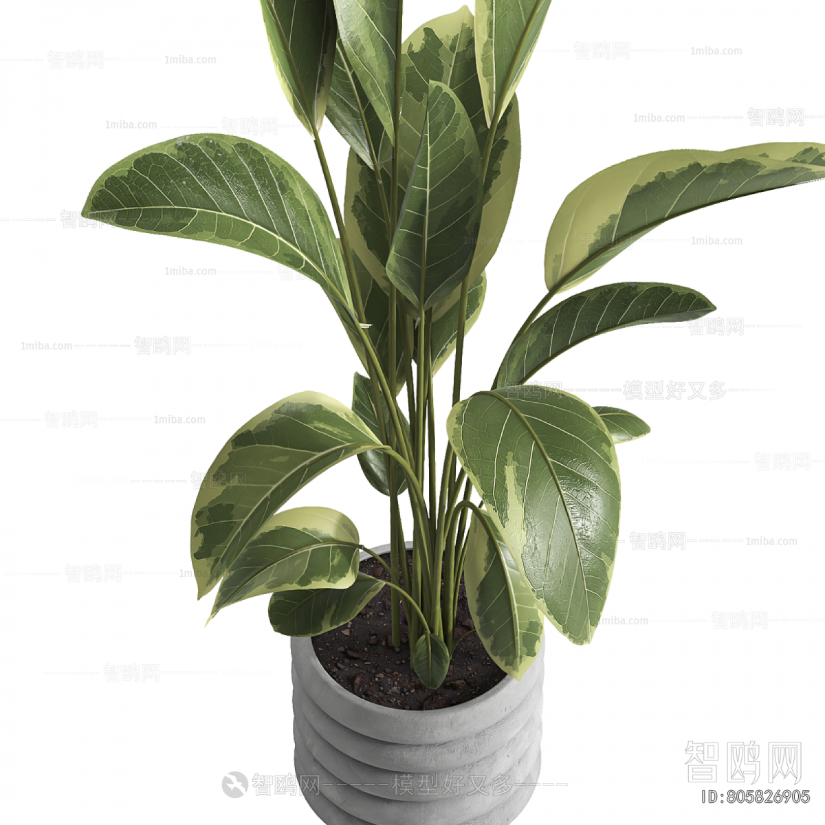 Modern Ground Green Plant Potted Plants