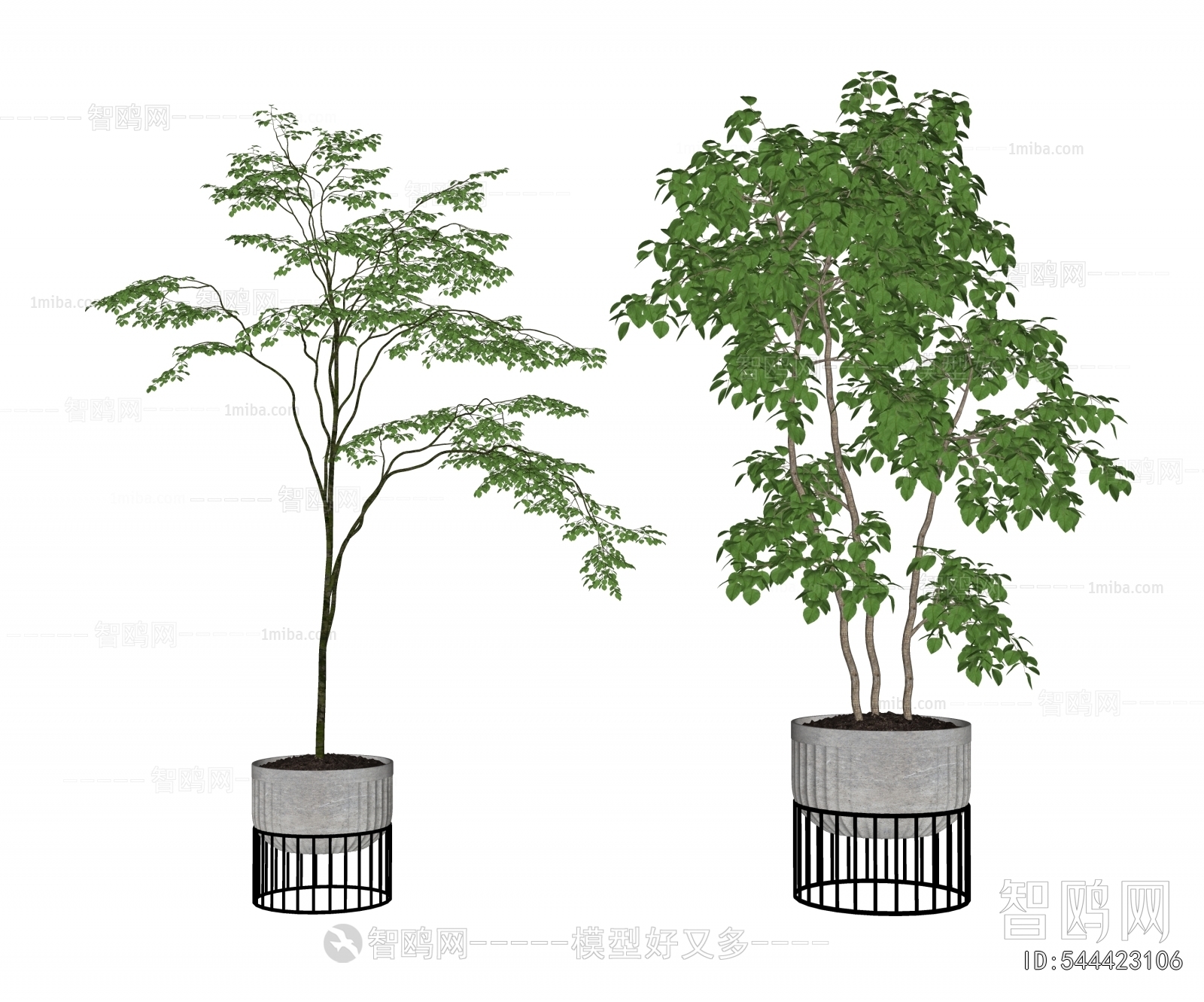 Modern Ground Green Plant Potted Plants