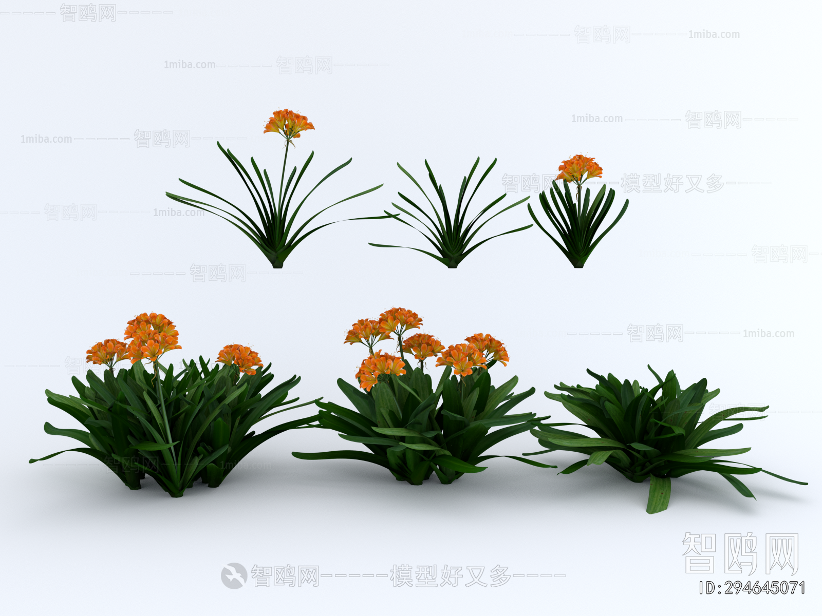 Modern Flowers And Grass