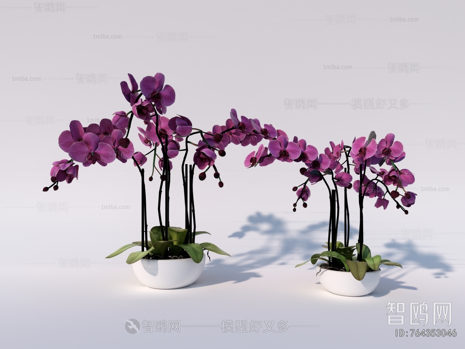 Modern Potted Green Plant