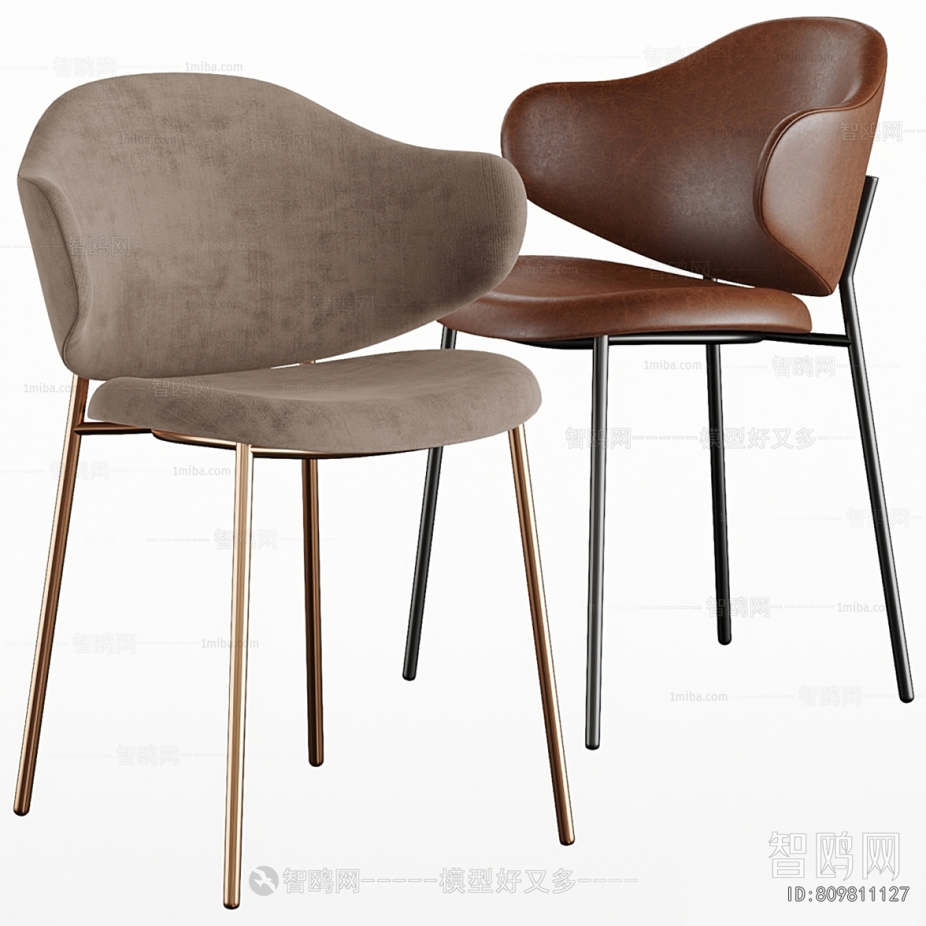 Modern Dining Chair