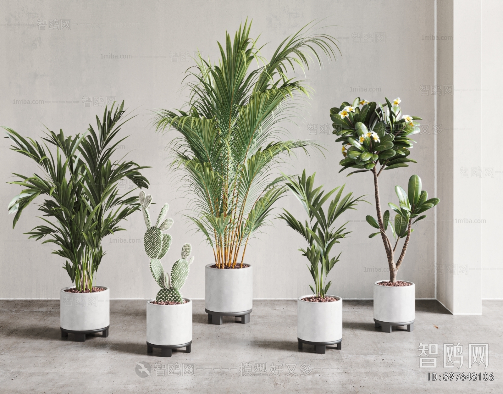 Modern Ground Green Plant Potted Plants