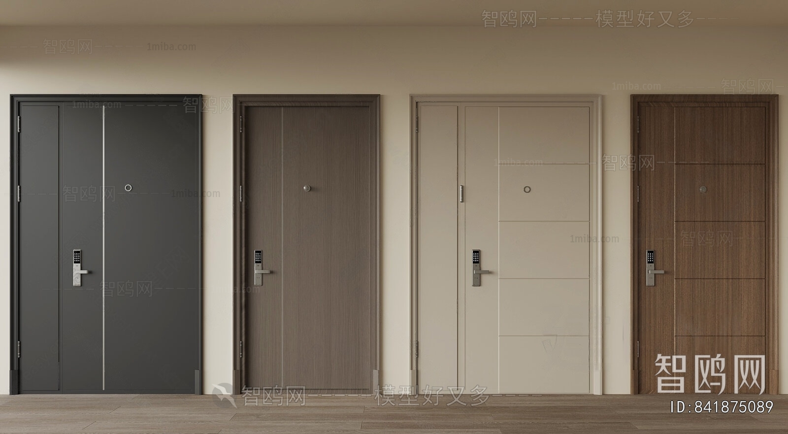 Modern Entrance Door