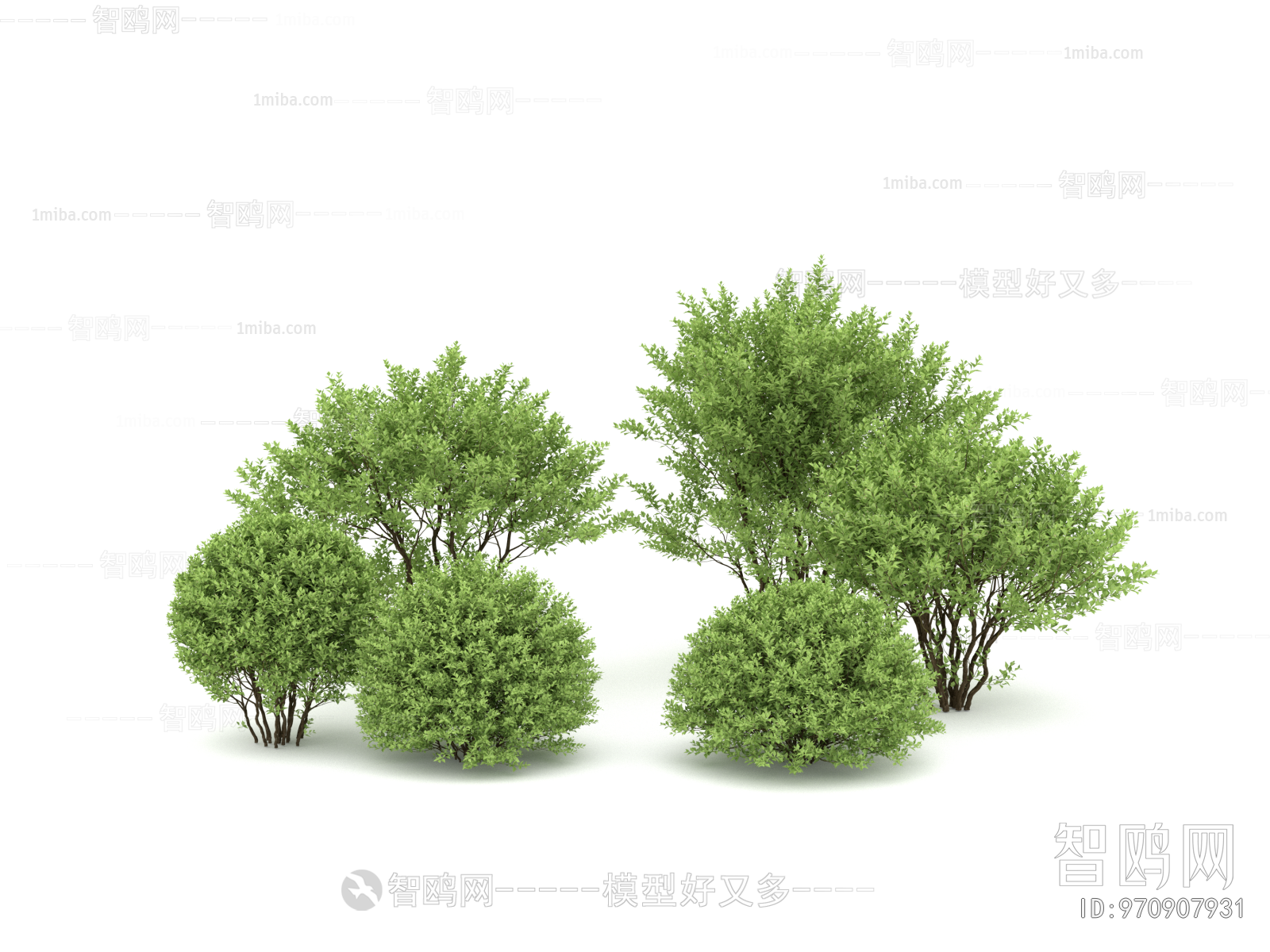 Modern Shrubbery