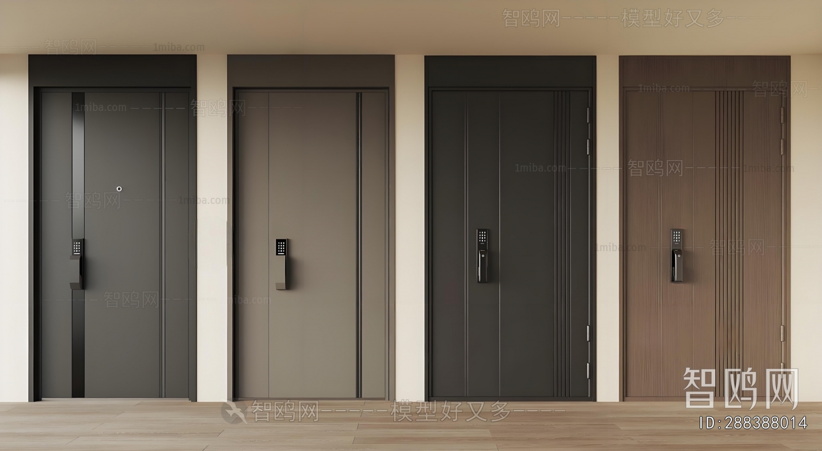 Modern Entrance Door