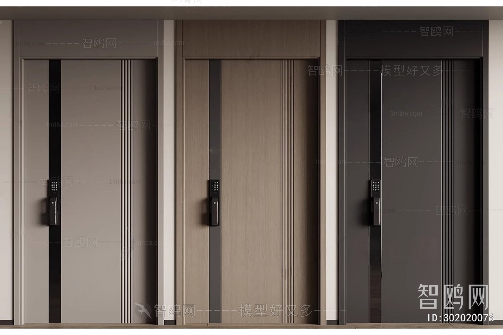 Modern Entrance Door