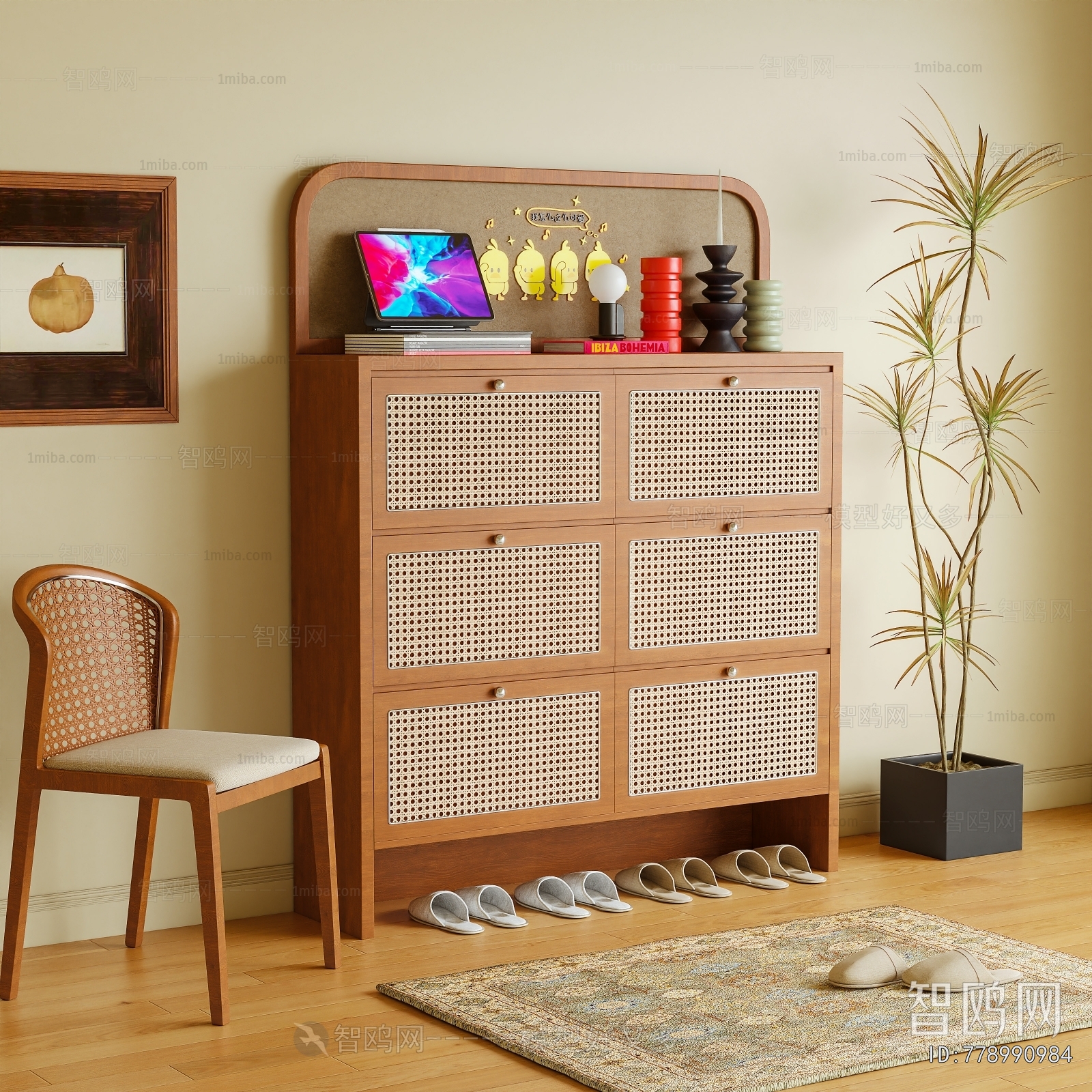 Modern Shoe Cabinet