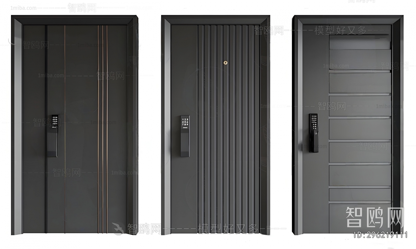 Modern Entrance Door