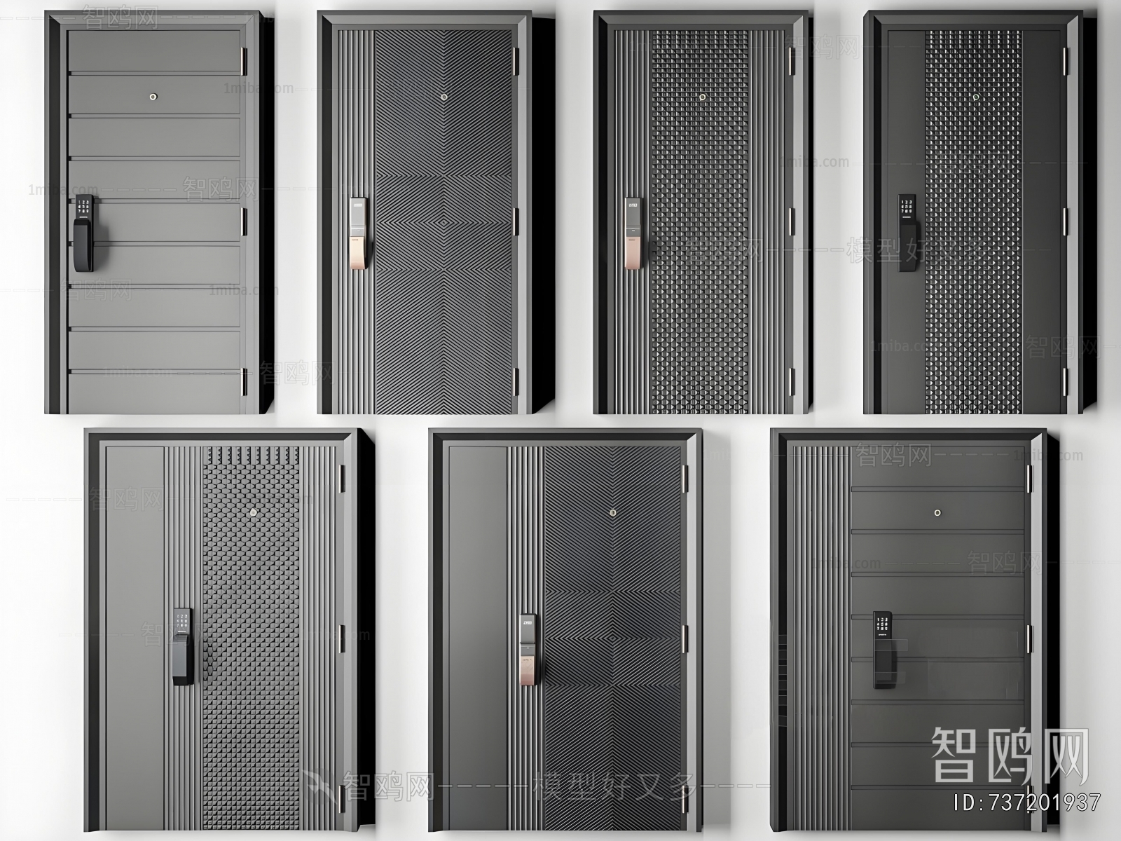 Modern Entrance Door