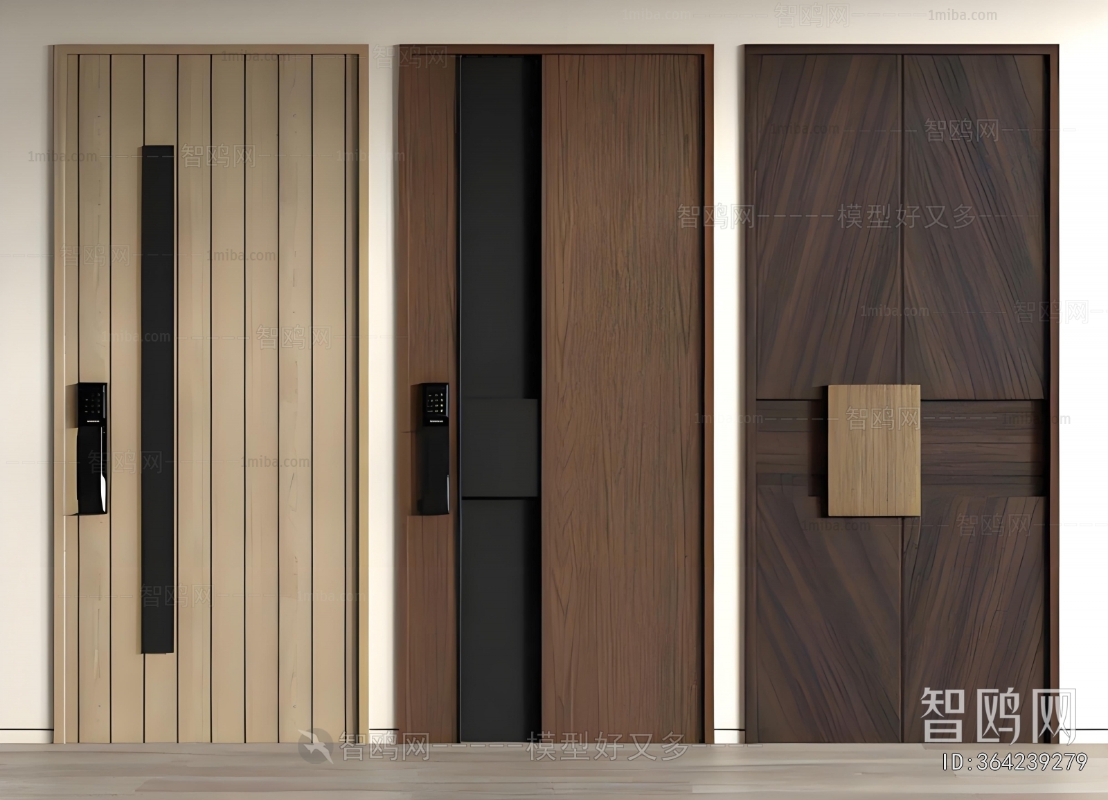 Modern Entrance Door