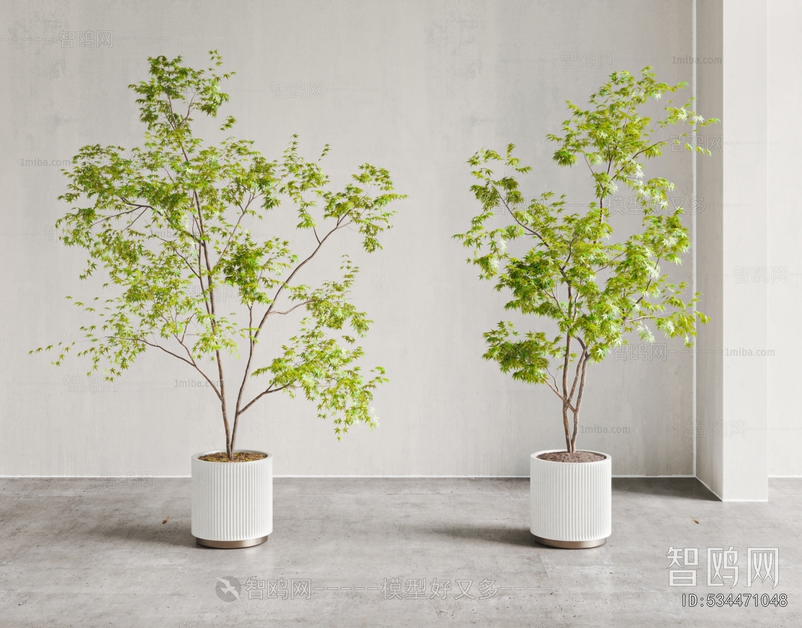 Modern Ground Green Plant Potted Plants