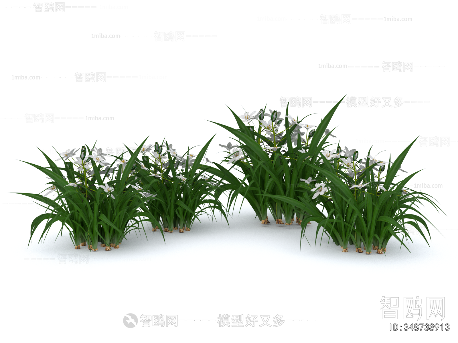 Modern Flowers And Grass