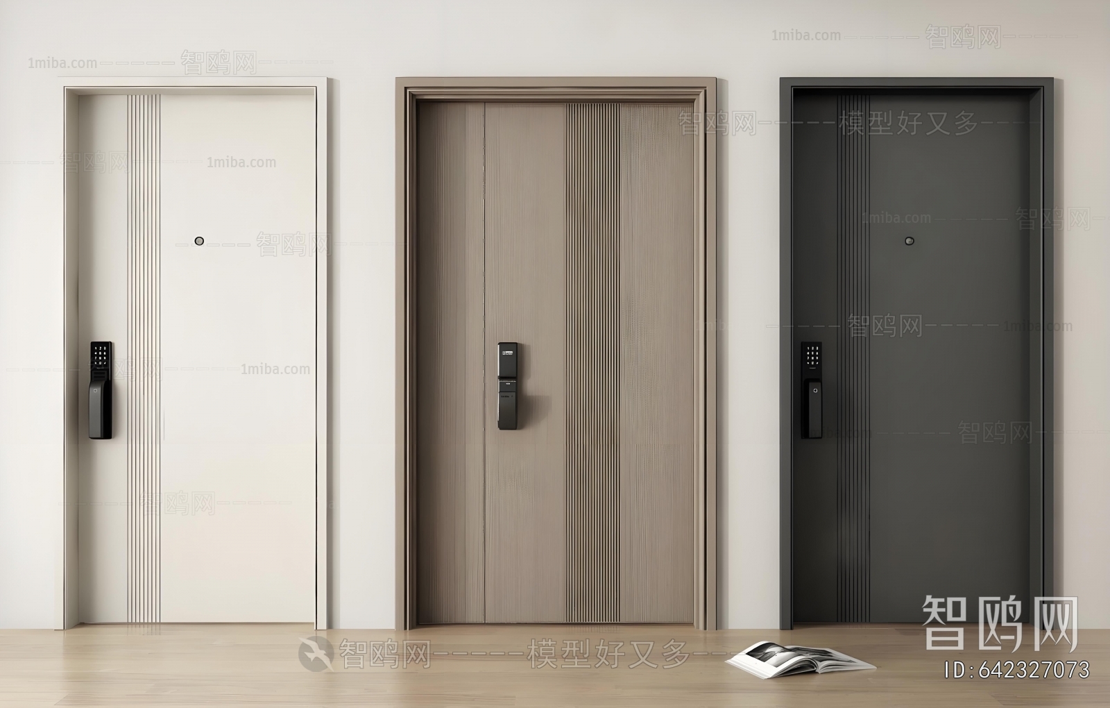 Modern Entrance Door