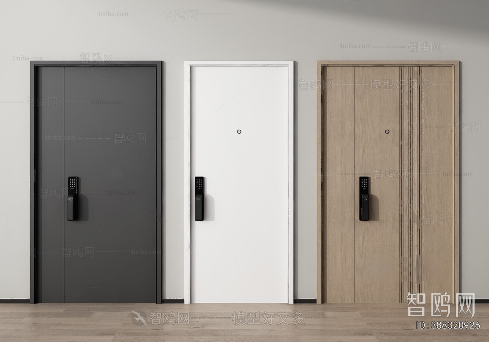 Modern Entrance Door