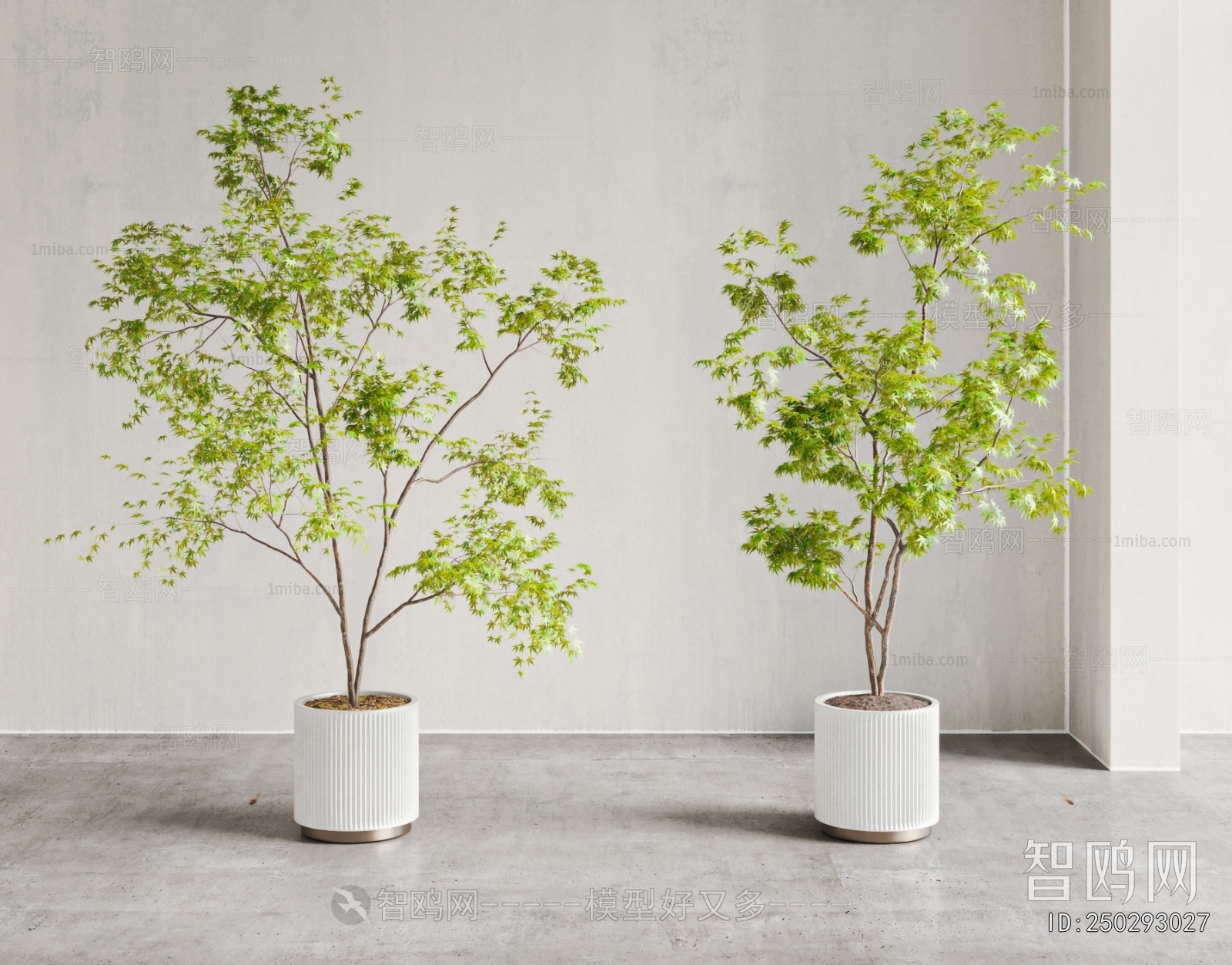 Modern Ground Green Plant Potted Plants