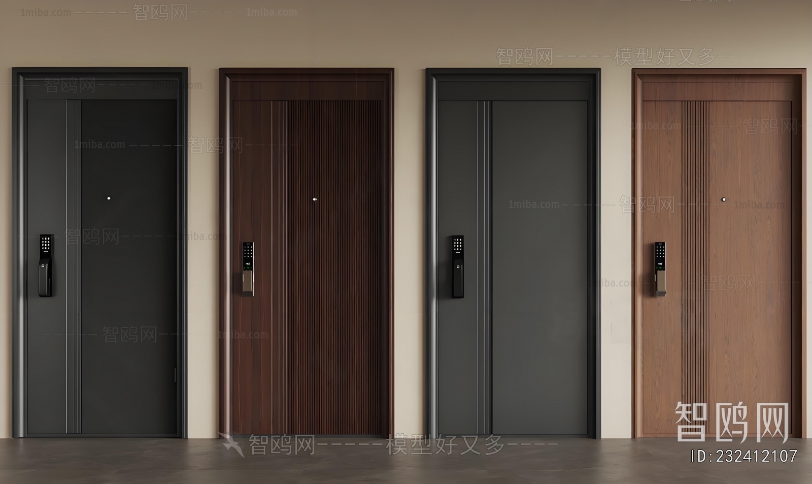 Modern Entrance Door