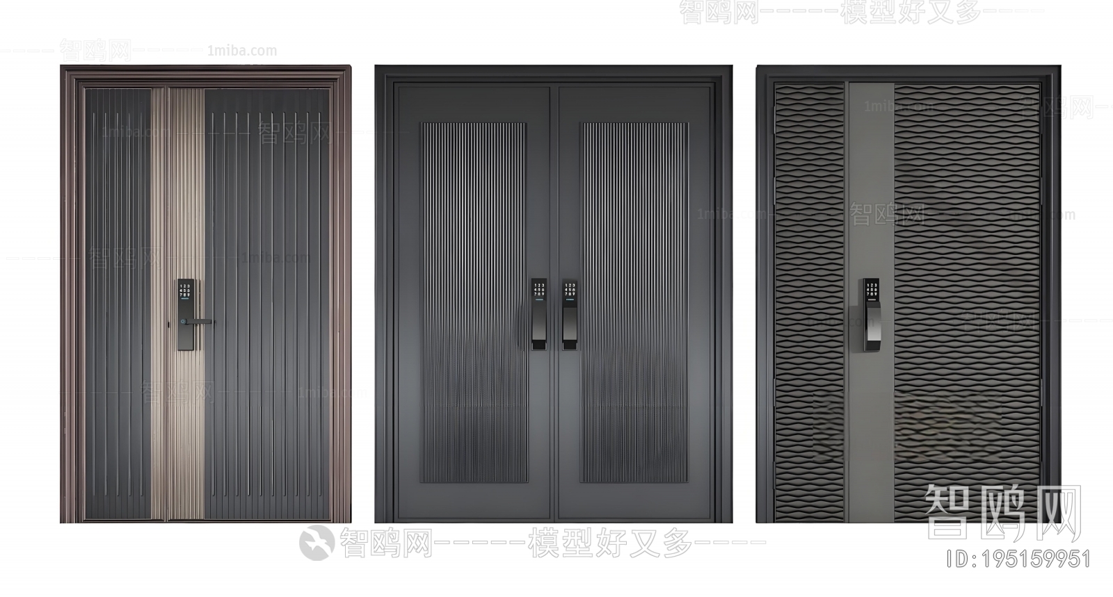 Modern Entrance Door
