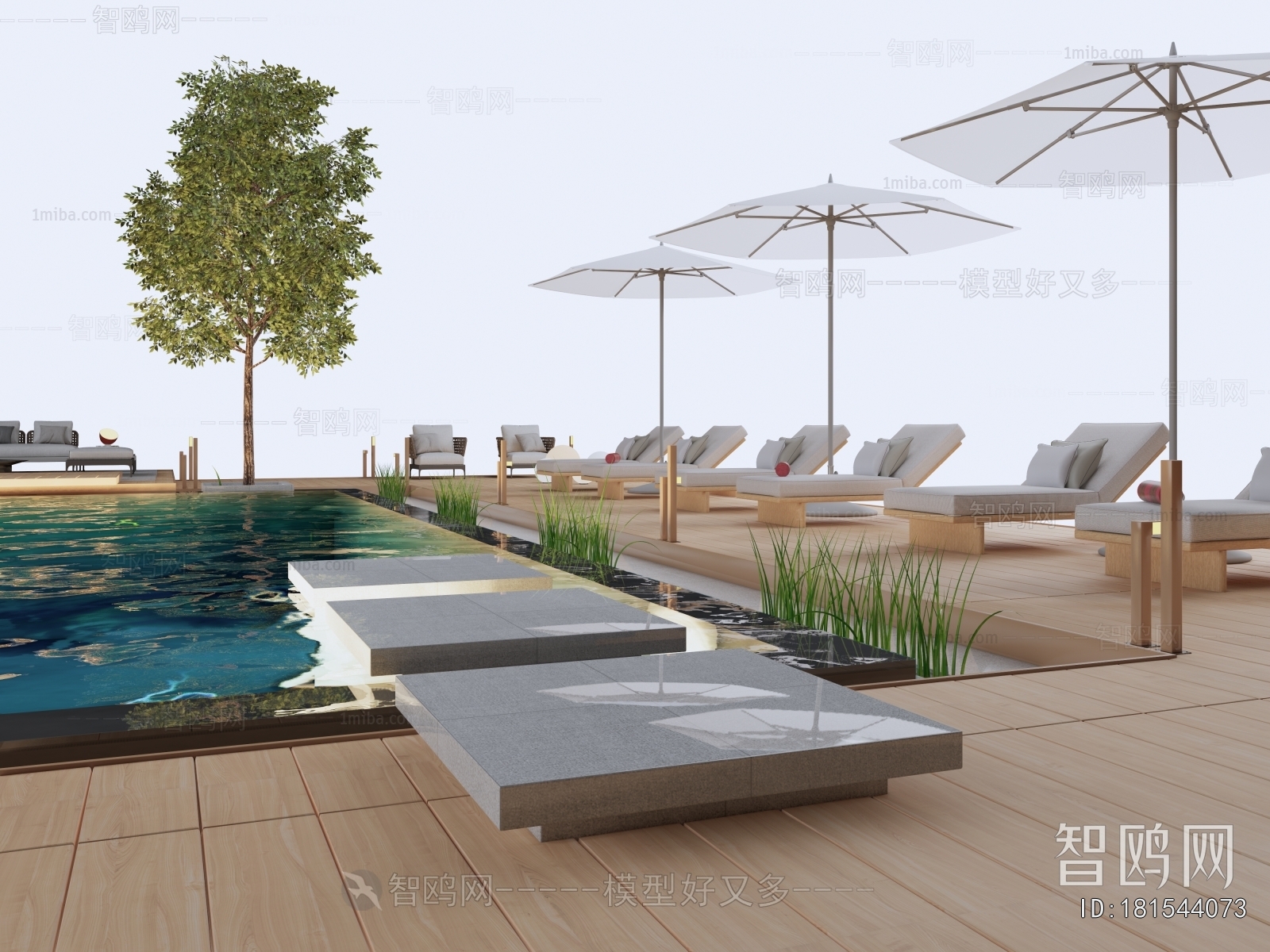 Modern Swimming Pool