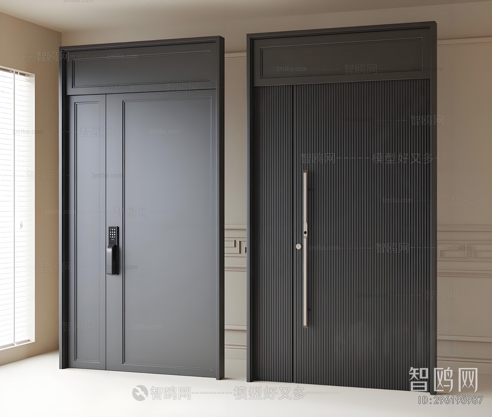 Modern Entrance Door