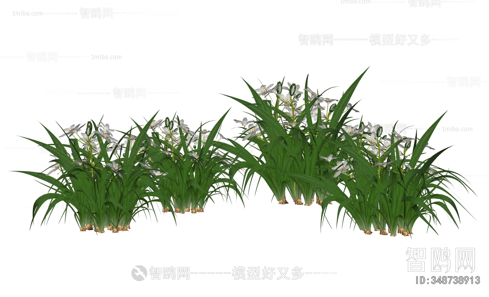 Modern Flowers And Grass