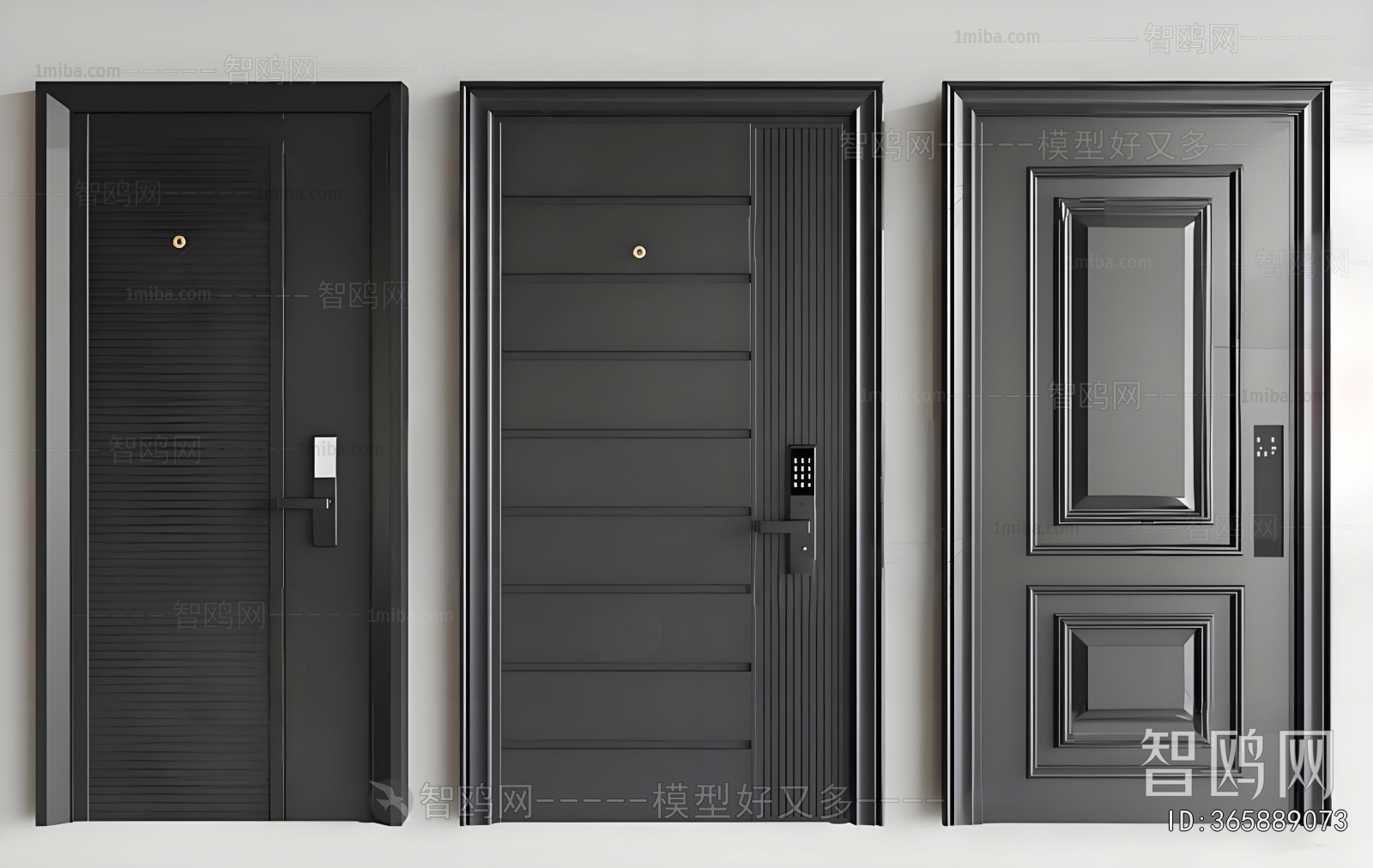 Modern Entrance Door