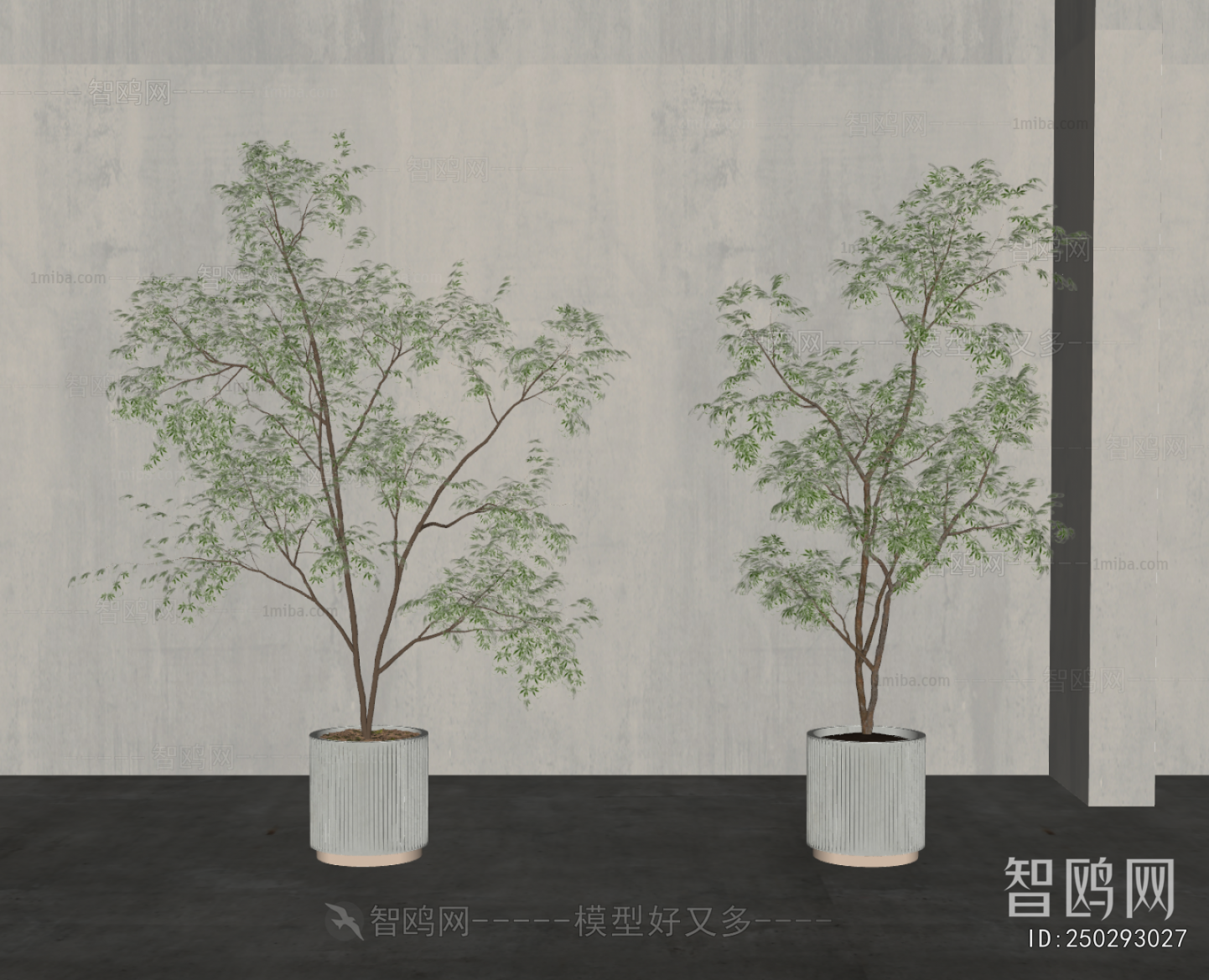 Modern Ground Green Plant Potted Plants