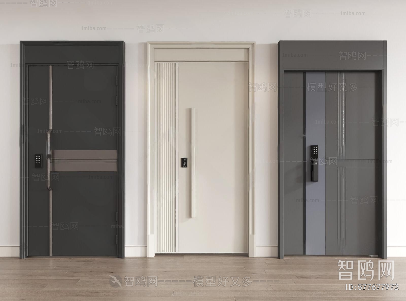 Modern Entrance Door